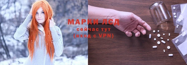 ешки Новодвинск