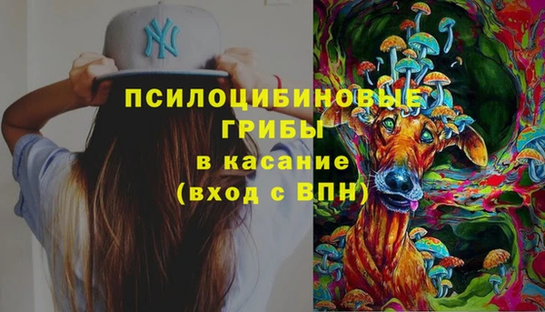 стаф Новокубанск