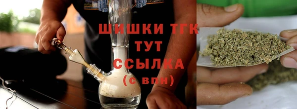 стаф Новокубанск