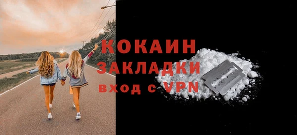ешки Новодвинск