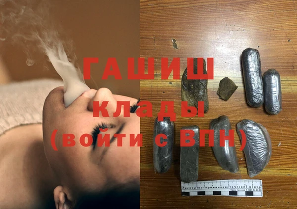 стаф Новокубанск