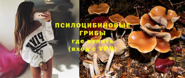 ешки Новодвинск