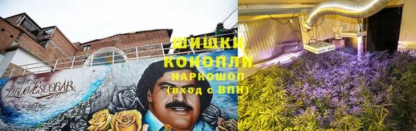 стаф Новокубанск