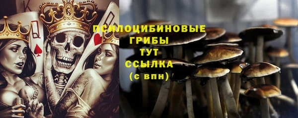 а пвп мука Новозыбков