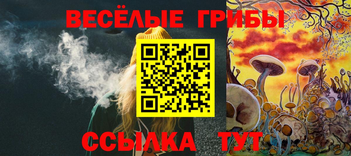 Хасавюрт  Псилоцибиновые грибы GOLDEN TEACHER  Вход с VPN 