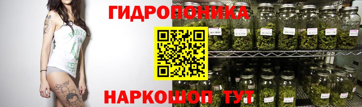 Хасавюрт  Шишки марихуана OG Kush  Бошки Шишки гибрид  Вход с VPN  Марихуана THC 21% 
